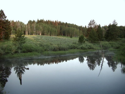 Morning Pond Reflection.